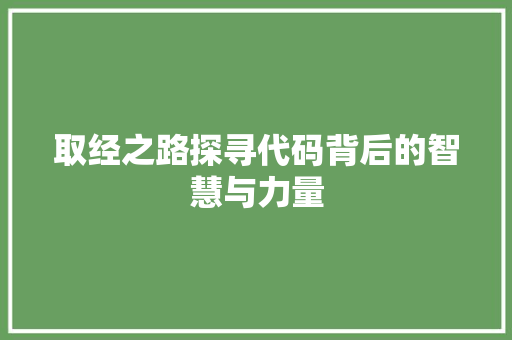 取经之路探寻代码背后的智慧与力量