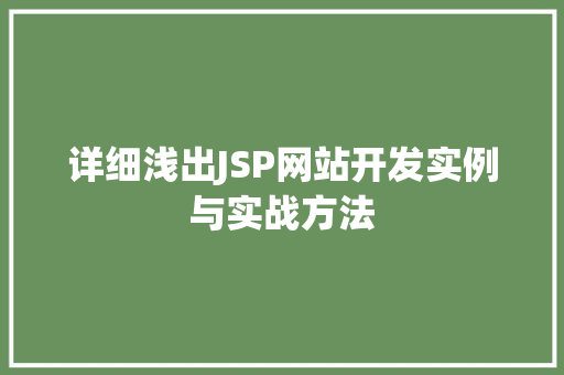 详细浅出JSP网站开发实例与实战方法