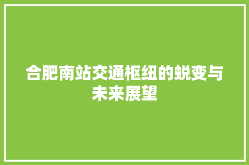 合肥南站交通枢纽的蜕变与未来展望