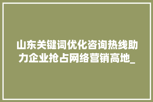 山东关键词优化咨询热线助力企业抢占网络营销高地_山东关键词优化咨询热线