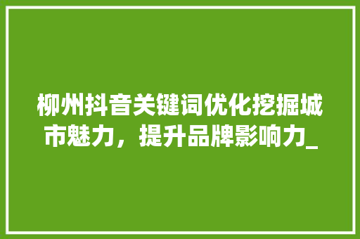 柳州抖音关键词优化挖掘城市魅力，提升品牌影响力_柳州抖音关键词优化项目  第1张