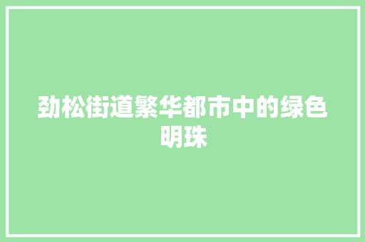 劲松街道繁华都市中的绿色明珠