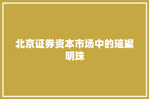 北京证券资本市场中的璀璨明珠