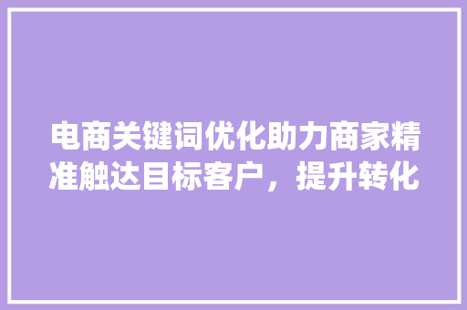 电商关键词优化助力商家精准触达目标客户，提升转化率_电商关键词优化工具