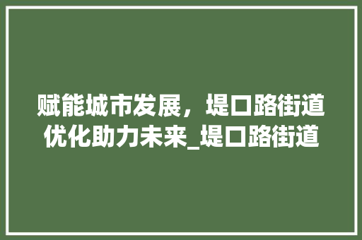 赋能城市发展，堤口路街道优化助力未来_堤口路街道优化关键词