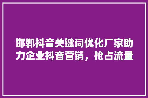 邯郸抖音关键词优化厂家助力企业抖音营销，抢占流量高地_邯郸抖音关键词优化厂家