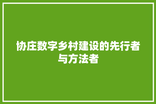 协庄数字乡村建设的先行者与方法者