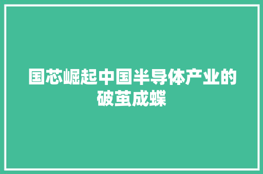 国芯崛起中国半导体产业的破茧成蝶