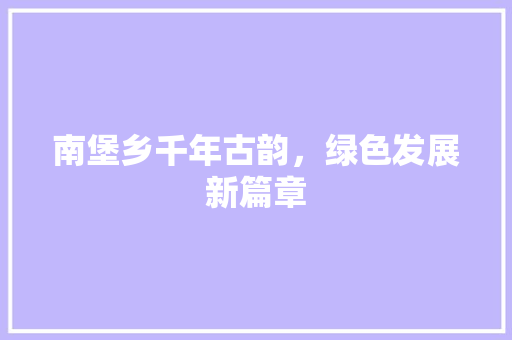 南堡乡千年古韵，绿色发展新篇章