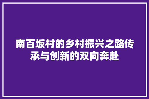 南百坂村的乡村振兴之路传承与创新的双向奔赴