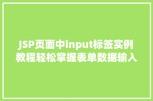 JSP页面中input标签实例教程轻松掌握表单数据输入方法