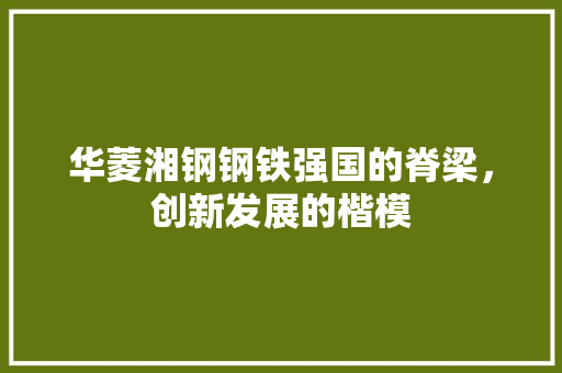 华菱湘钢钢铁强国的脊梁，创新发展的楷模