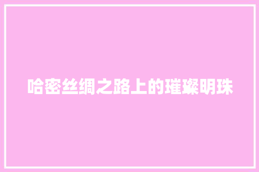 哈密丝绸之路上的璀璨明珠