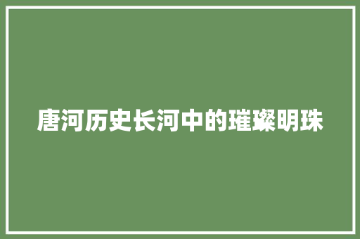 唐河历史长河中的璀璨明珠