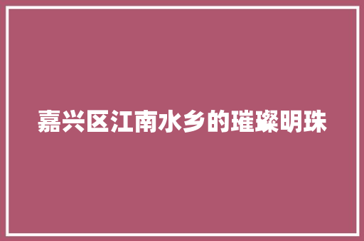 嘉兴区江南水乡的璀璨明珠
