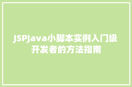 JSPJava小脚本实例入门级开发者的方法指南