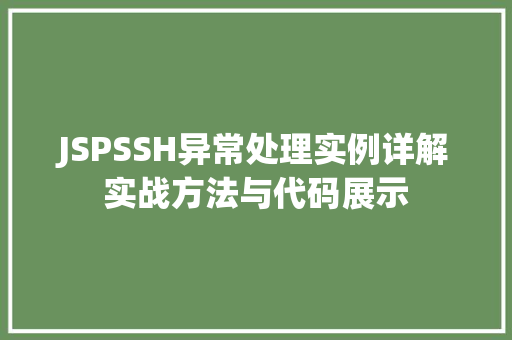 JSPSSH异常处理实例详解实战方法与代码展示