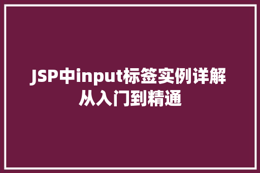JSP中input标签实例详解从入门到精通