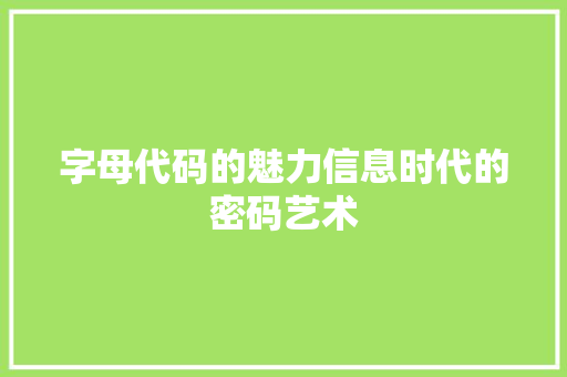 字母代码的魅力信息时代的密码艺术