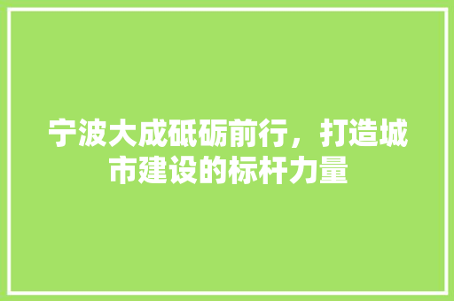 宁波大成砥砺前行，打造城市建设的标杆力量