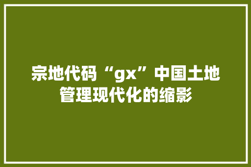 宗地代码“gx”中国土地管理现代化的缩影