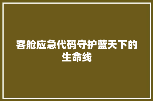 客舱应急代码守护蓝天下的生命线