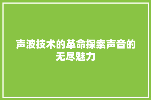 声波技术的革命探索声音的无尽魅力