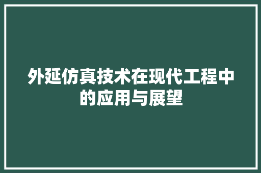 外延仿真技术在现代工程中的应用与展望
