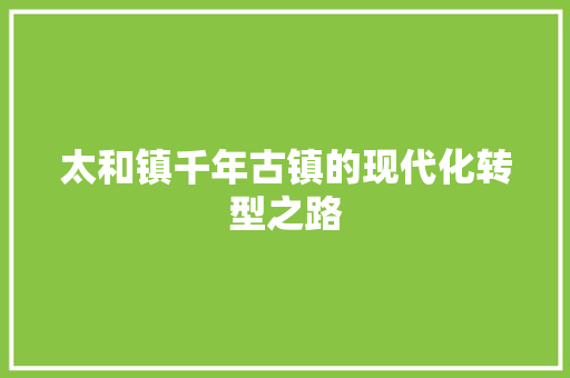 太和镇千年古镇的现代化转型之路