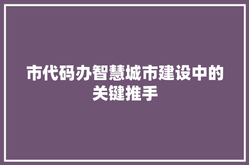 市代码办智慧城市建设中的关键推手