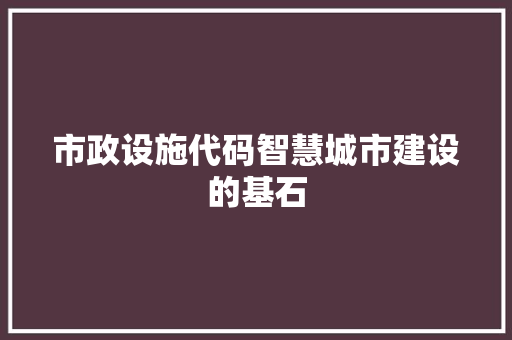 市政设施代码智慧城市建设的基石