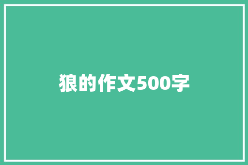 异常捕捉程序安全与稳定的守护者