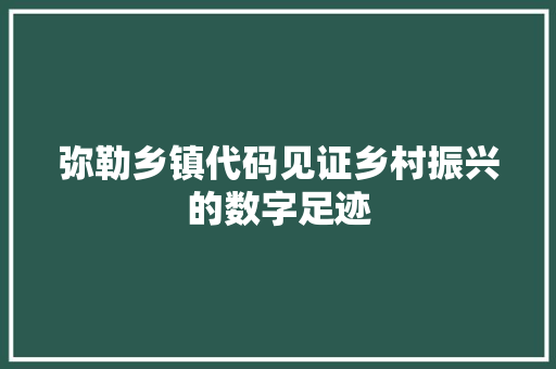 弥勒乡镇代码见证乡村振兴的数字足迹
