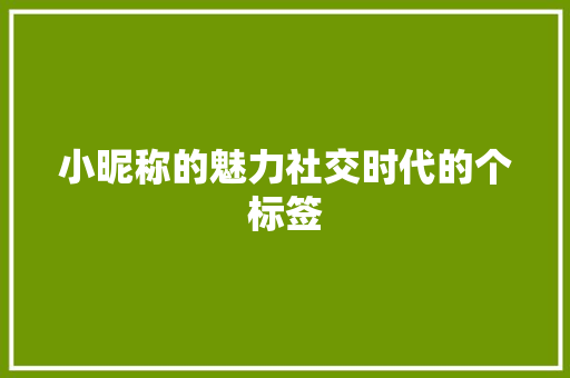 小昵称的魅力社交时代的个标签