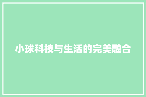 小球科技与生活的完美融合