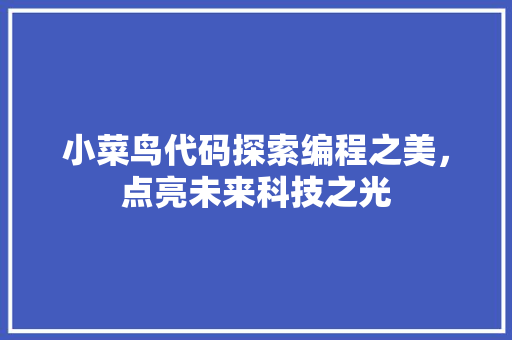 小菜鸟代码探索编程之美，点亮未来科技之光