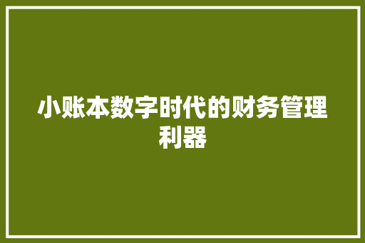 小账本数字时代的财务管理利器