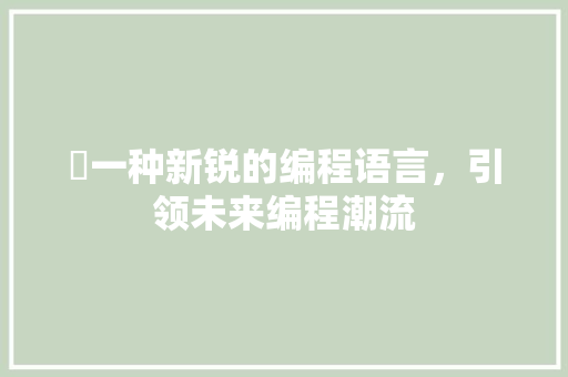 悰一种新锐的编程语言，引领未来编程潮流
