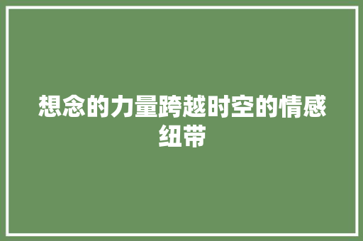 想念的力量跨越时空的情感纽带
