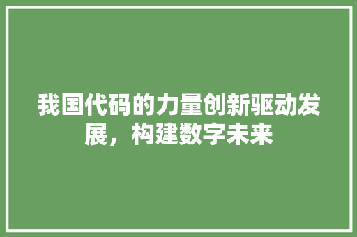 我国代码的力量创新驱动发展，构建数字未来