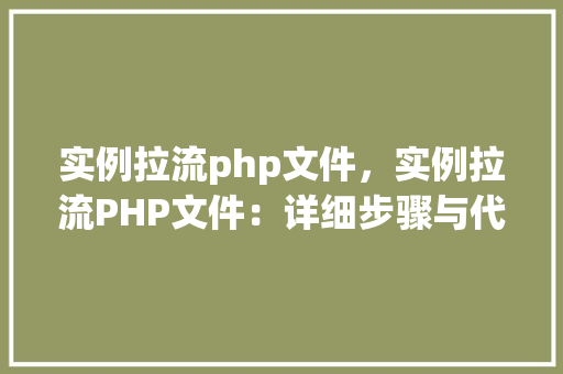 实例拉流php文件，实例拉流PHP文件：详细步骤与代码介绍