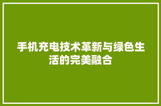 手机充电技术革新与绿色生活的完美融合