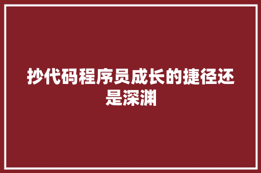 抄代码程序员成长的捷径还是深渊
