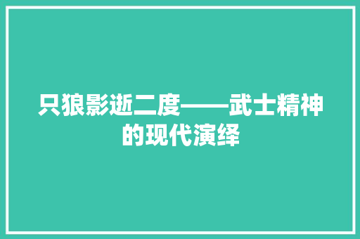 只狼影逝二度——武士精神的现代演绎