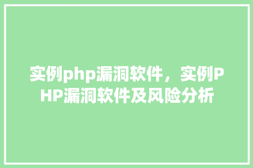 实例php漏洞软件，实例PHP漏洞软件及风险分析