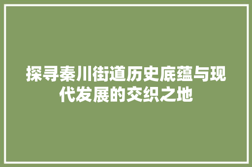 探寻秦川街道历史底蕴与现代发展的交织之地
