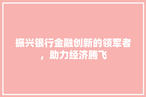 振兴银行金融创新的领军者，助力经济腾飞