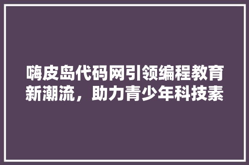 嗨皮岛代码网引领编程教育新潮流，助力青少年科技素养提升