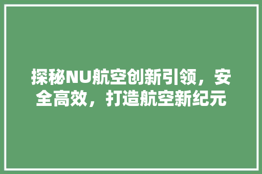 探秘NU航空创新引领，安全高效，打造航空新纪元