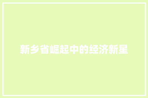新乡省崛起中的经济新星
